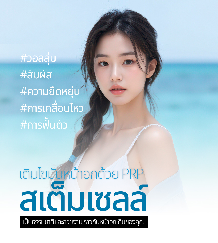 แบนเนอร์โปรโมชั่น